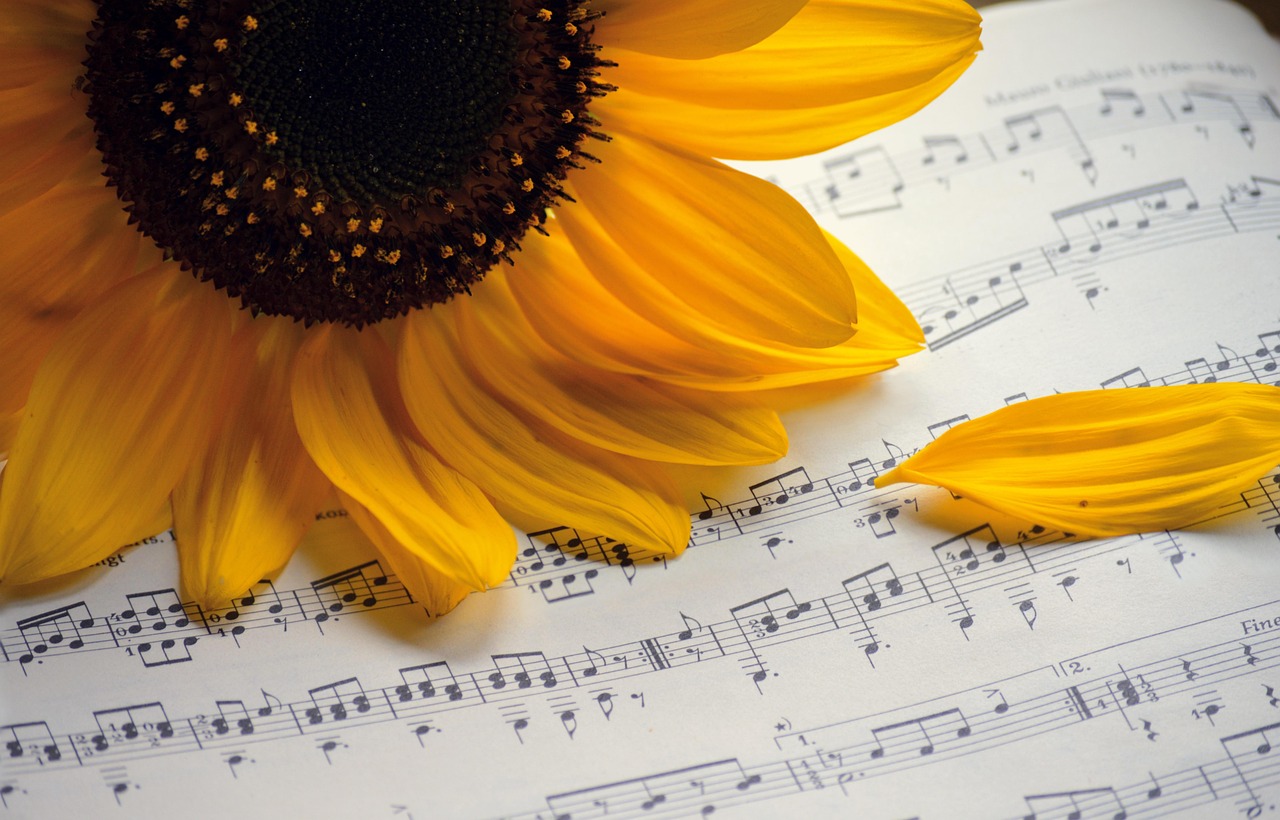 sunflower, summer songs, choir, sheet music, summer concert, autumn songs, music, songs, concert, to sing, notenblatt, birthday song, teacher gradebook, grades, make music, petals, choir, choir, choir, choir, choir